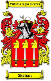 Family Coat of arms